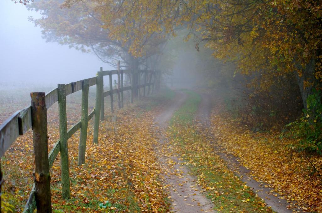 Gosciniec Figlowka Villa Laskowice  Luaran gambar